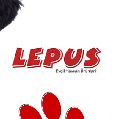 Lepus