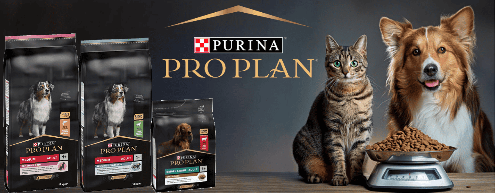 proplan