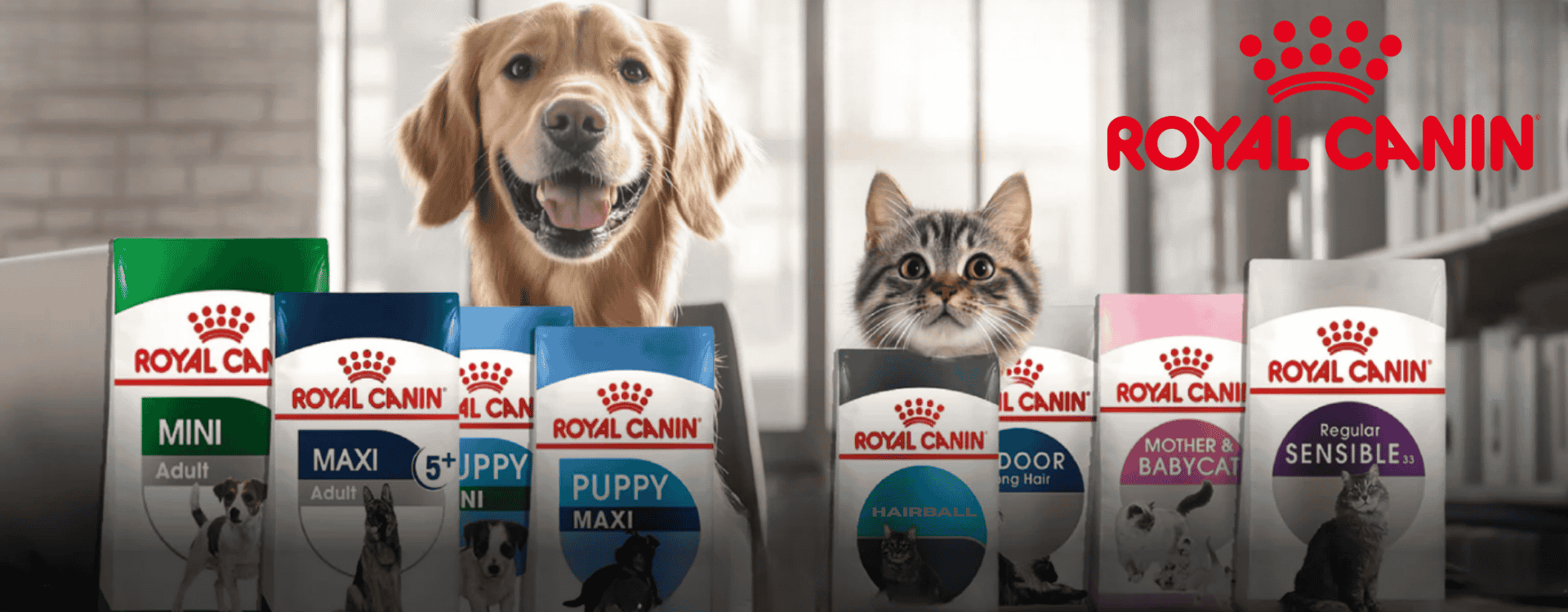 royal canın