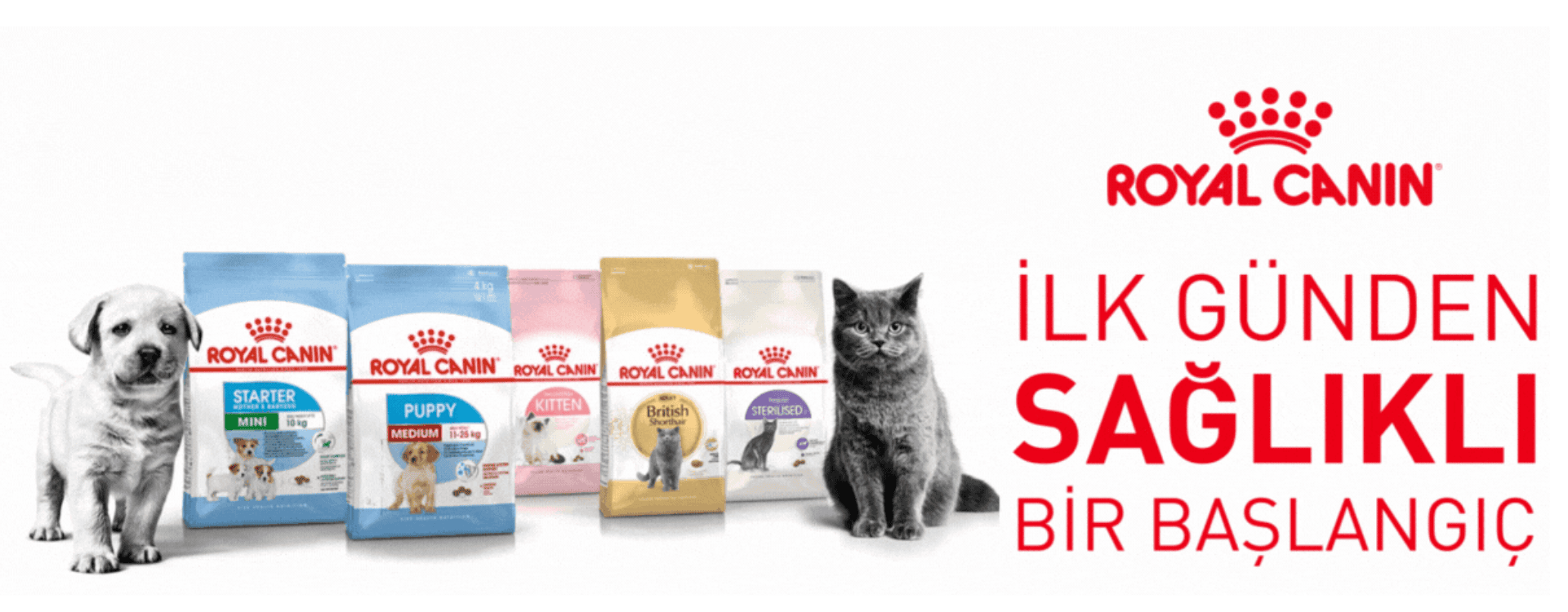 royal canın