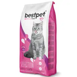 Bestpet Selection Tavuk Etli Yetişkin Kedi Maması 15 Kg