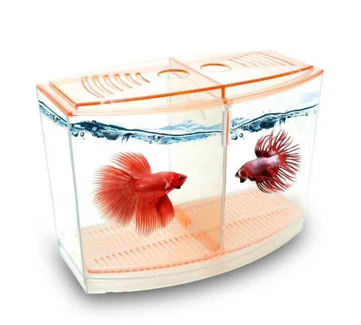 ATLANTİK İKİLİ BETA KABI 9*19*14 CM 1800 ML