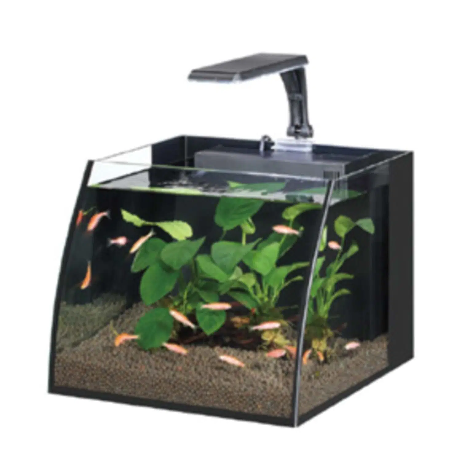 HAQOS BELLY BOX 25 NANO AKVARYUM SİYAH 11L A12580