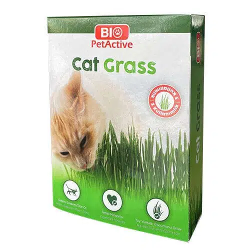 Bio Pet Active Grass Kit Naturel Kedi Çimi