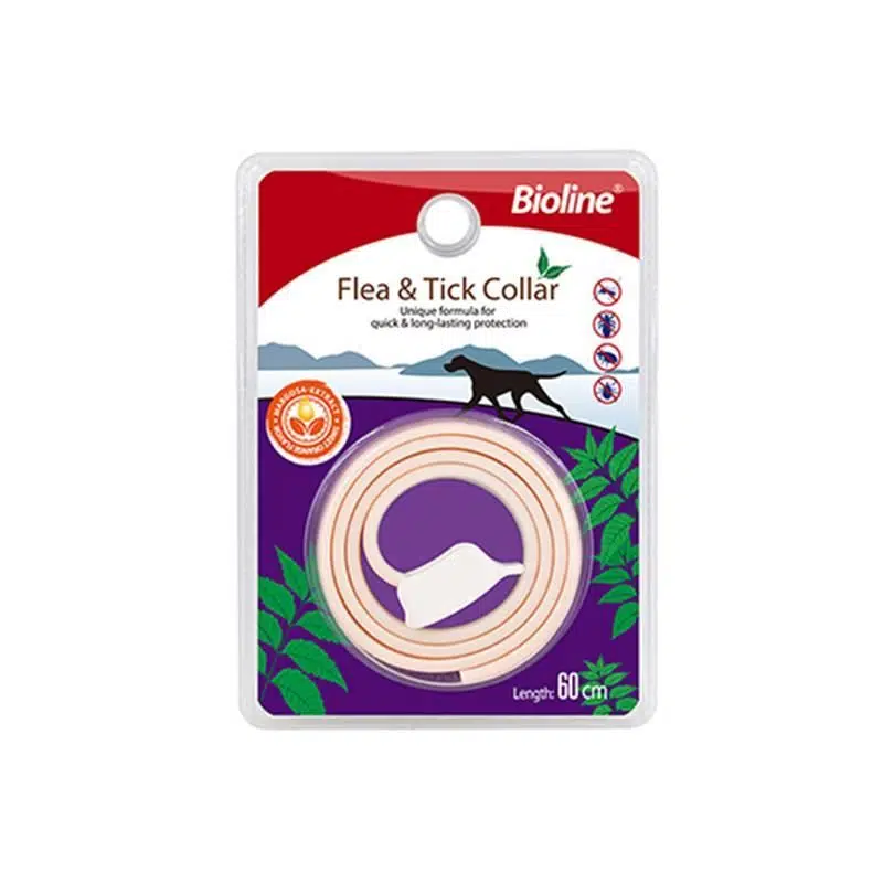 Bioline Köpek Bit Pire Tasması Portakal Kokulu 60 cm