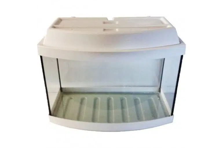 Bombeli Akvaryum 50cm Renkli 50*28*43h