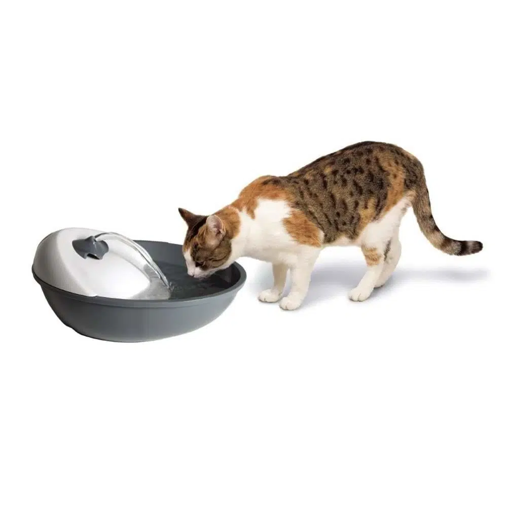 CAMON OTOMATİK SU PINARI 1,7 L