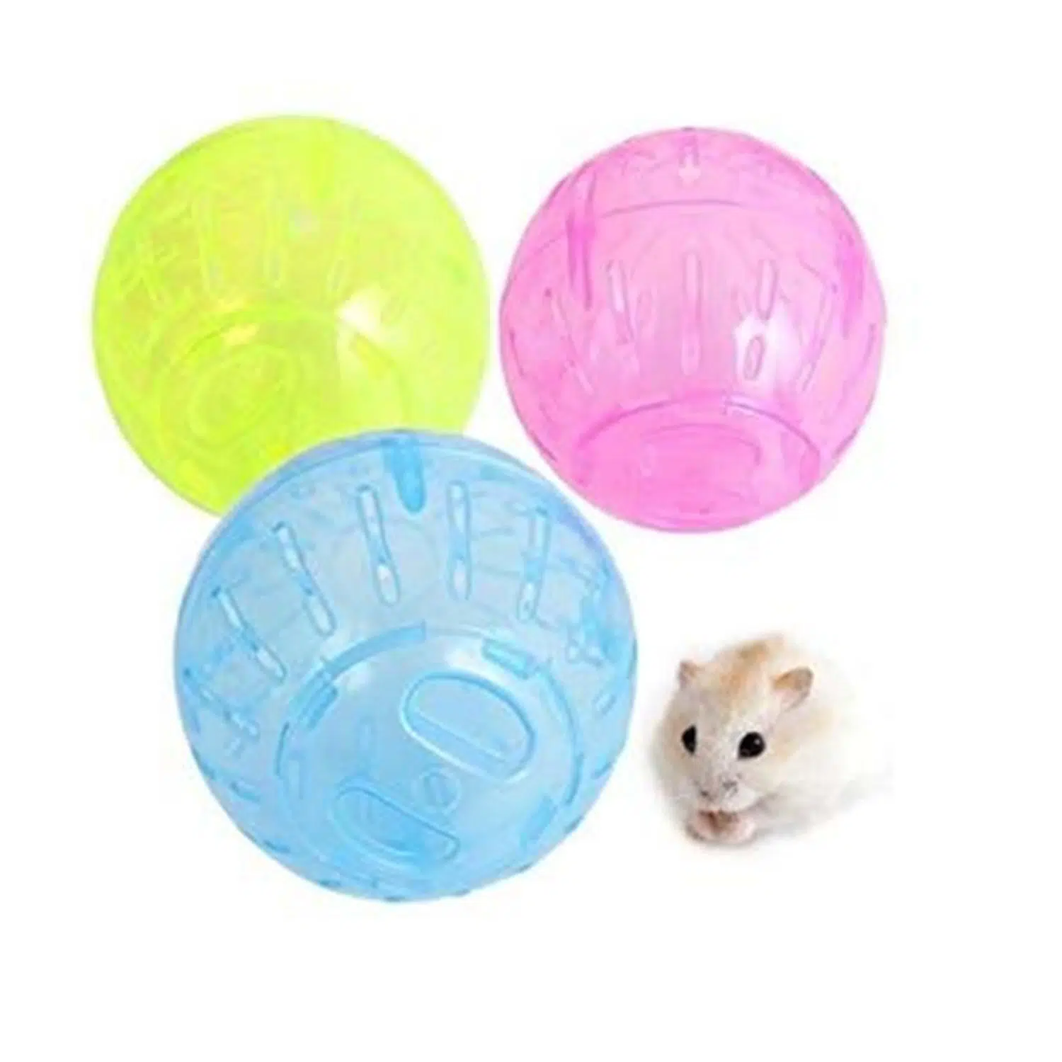 Carno Hamster Egzersiz Top 14.5cm RJ-179