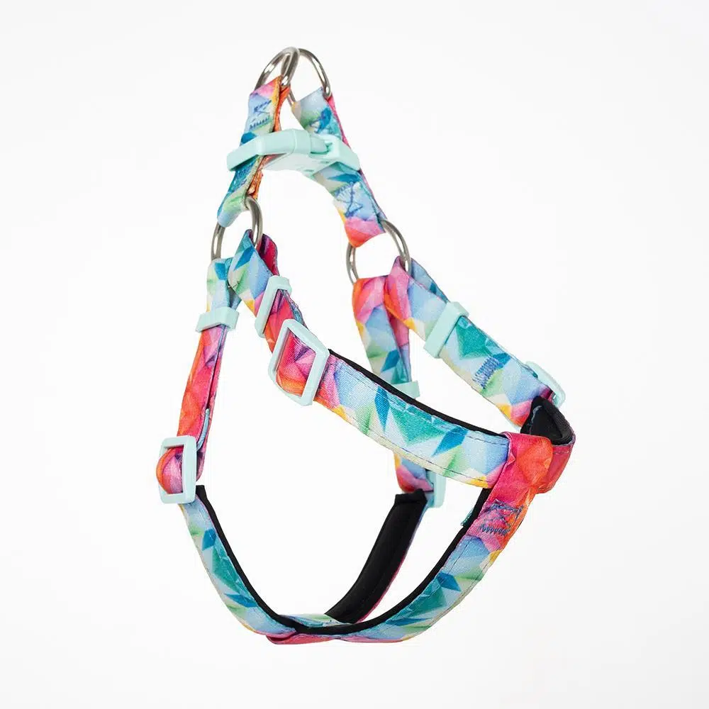 Doca Dokuma Göğüs Tasması L Rainbow