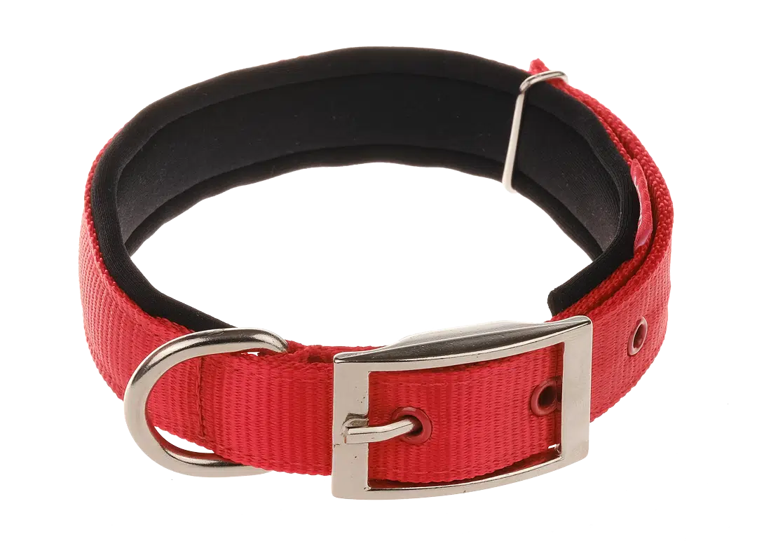 Doca 60 Cm Dokuma Boyun Tasması Kırmızı 37-49 Cm