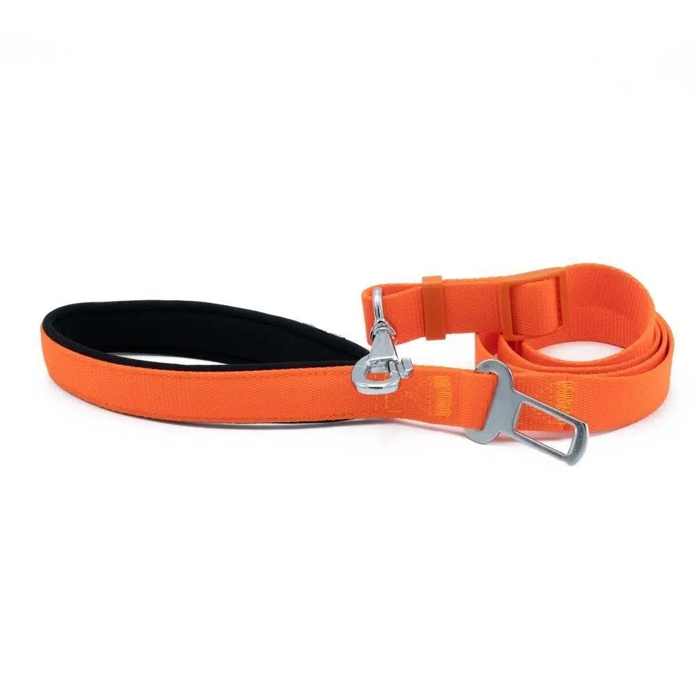 Doca Emniyet Kemerli Gezdirme Turuncu Sevk Kayışı 2.5cm*70-110cm