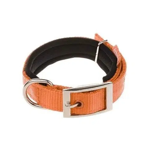 Doca Köpek Boyun Tasması Turuncu 29-40 cm