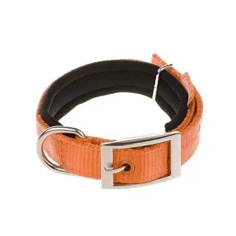 Doca Köpek Boyun Tasması Turuncu 41-54 cm