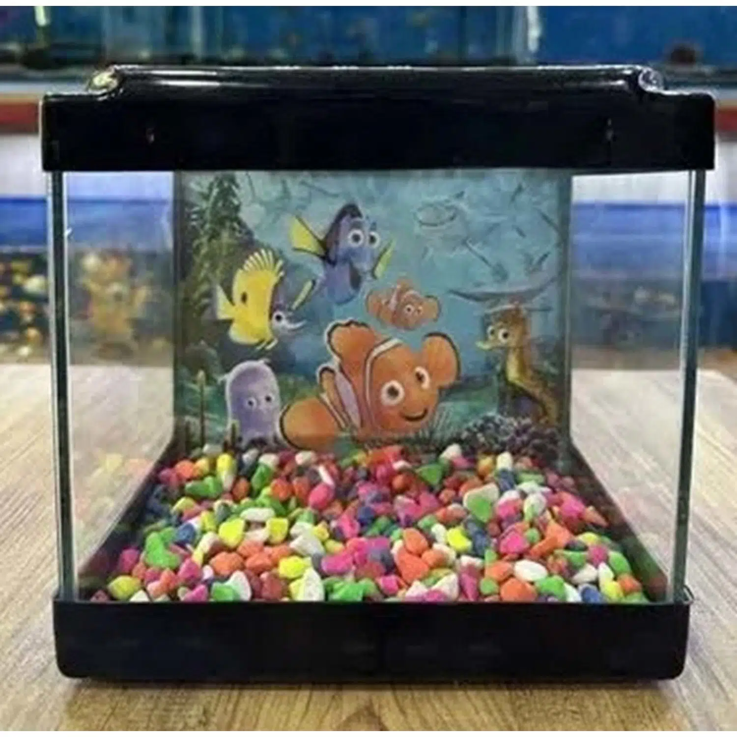 Düz Akvaryum Lüx Mini 20 Cm 20*15*20h