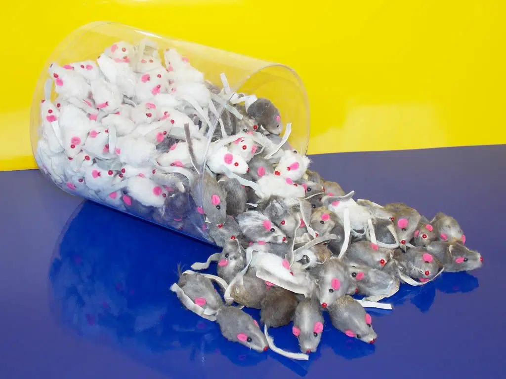 Eastland Kürklü Fare Kedi Oyuncağı 4 lü