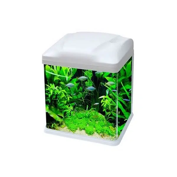 Ebo Set Bombeli Filtreli Akvaryum Beyaz 26*19*32 cm B226-B