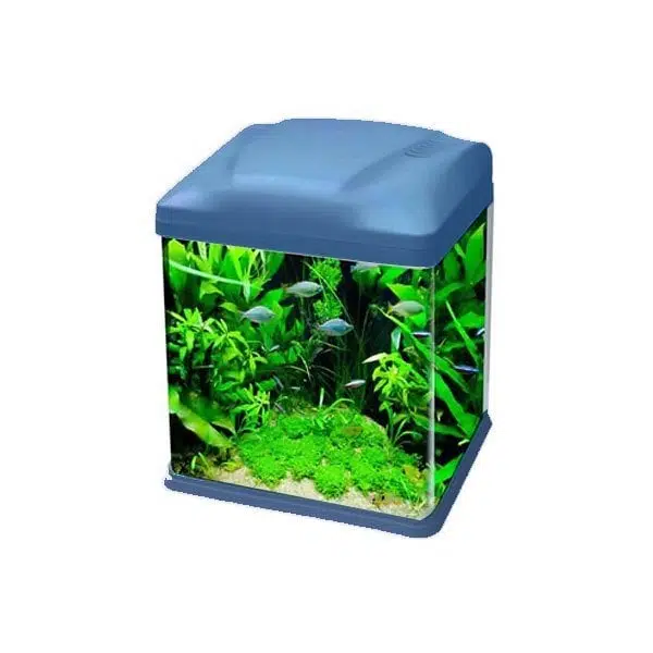 Ebo Set Bombeli Filtreli Akvaryum Mavi 26*19*32cm B226-M
