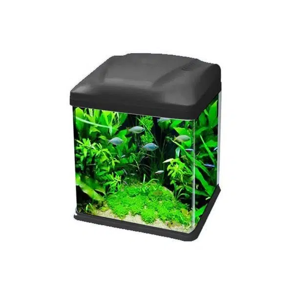 Ebo Set Bombeli Filtreli Akvaryum Siyah 26*19*32 cm B226-S