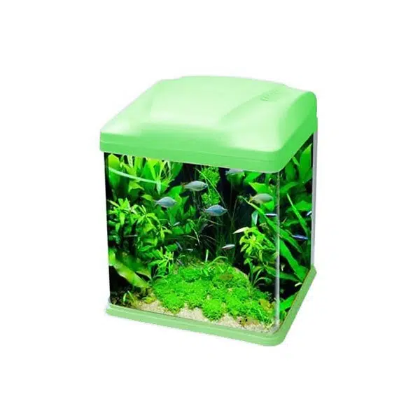 Ebo Set Bombeli Filtreli Akvaryum Yeşil 26*19*32 cm B226-Y