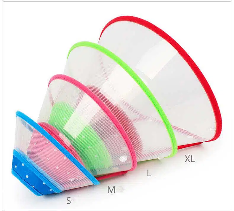 Elizabeth Köpek Ameliyat Yakalık XL DS313-XL