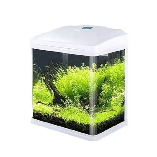 Fancy Fish Bombeli İthal Akvaryum 33x21x32 B231 22LT