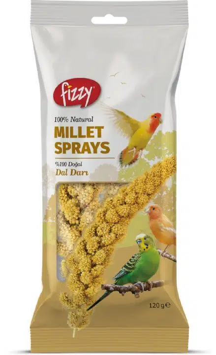 FİZZY DOĞAL DAL DARI 10LU 120 GR 100-9026