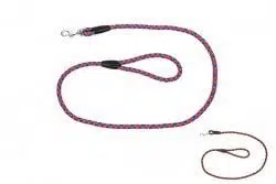 Flip Renkli Fitil Köpek Gezdirme 1cm*120 cm