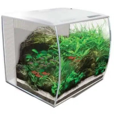 Fluval Flex Akvaryum Beyaz 34 lt
