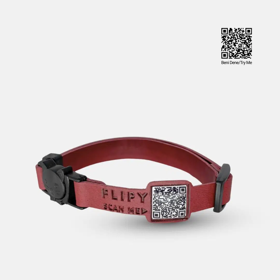 Flipy Qr Kodlu Kedi Deri Boyun Tasması