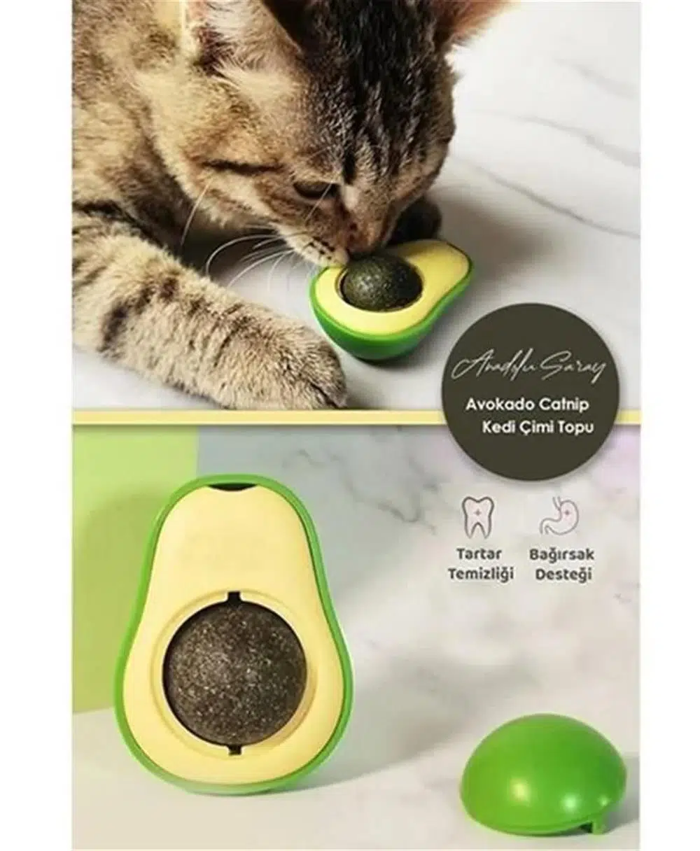 Avokado Tasarımlı Kedi Catnip Yalama Topu