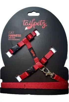 Kedi göğüs tasması