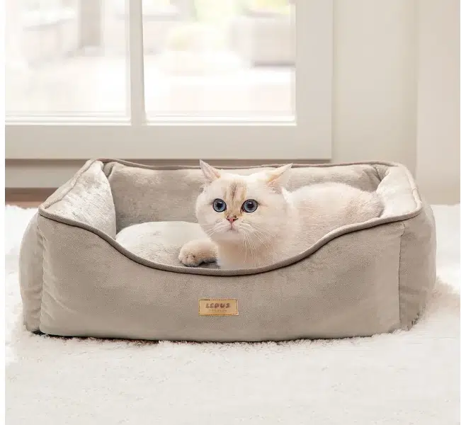 Lepus Divan Premıum Yatak L 70*85 CM LPS-610-L-K