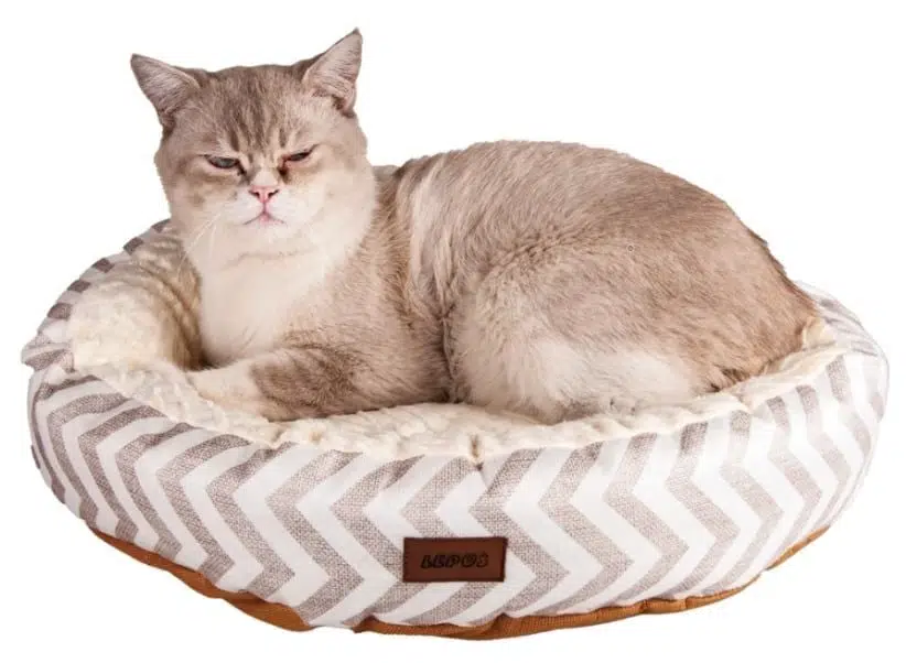 LEPUS KD/KP SİMİT YATAK KAHVERENGİ LPS-105-05