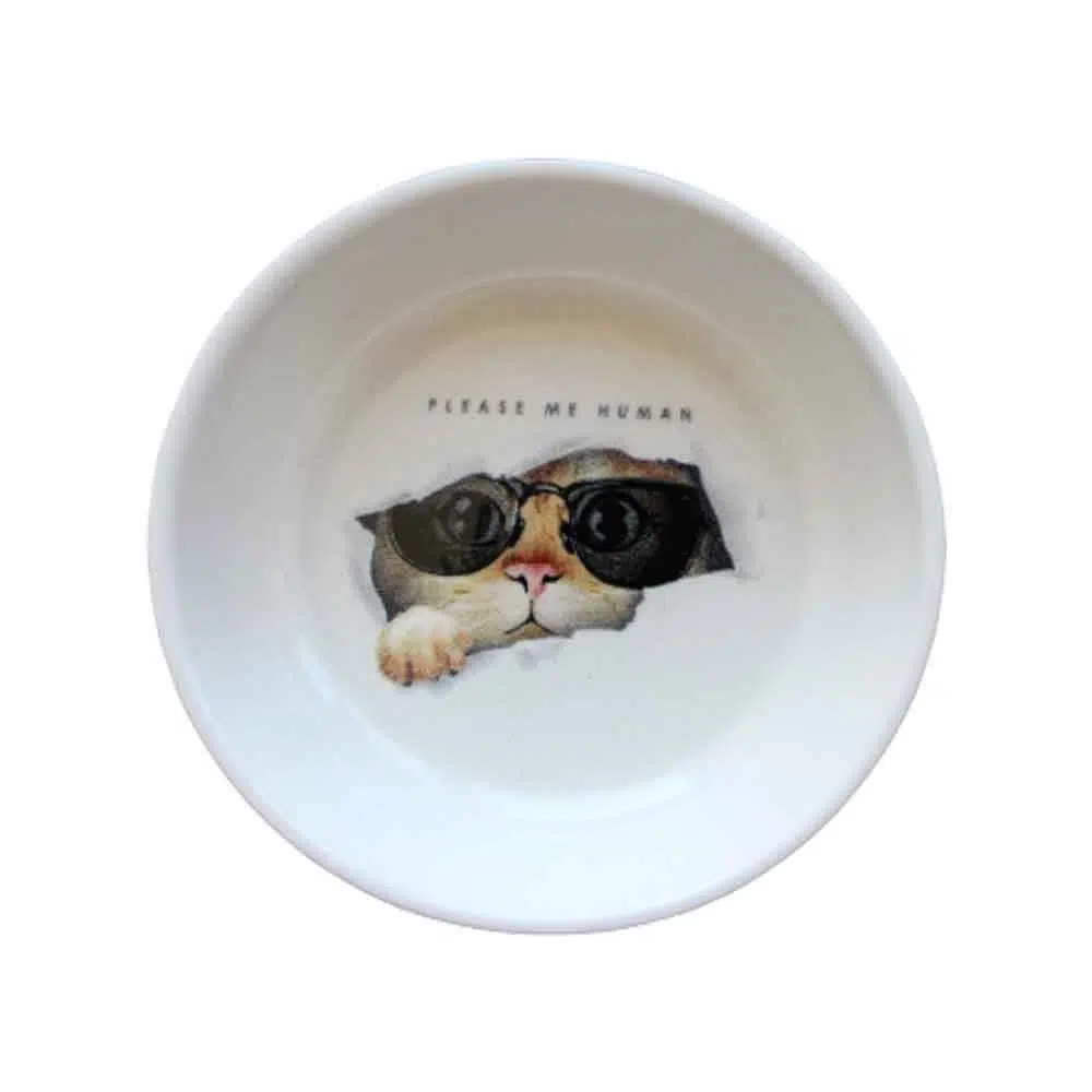 Lepus Seramik Kedi Köpek Mama Su Kabı Gözlüklü Kedi Desenli 250ML