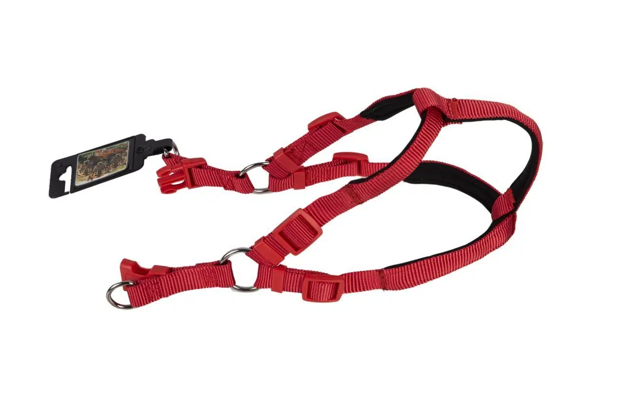 Lion Köpek Göğüs Tasma Yumuşak Doku L 1031-22 20MM*50-70CM