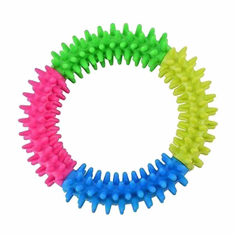 Lion Köpek Oyuncak Dişli Rainbow Halka