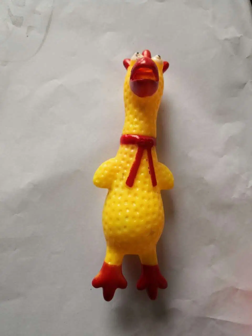 Lion Köpek Oyuncak Öten Plastik Tavuk 26CM Ln-T1011