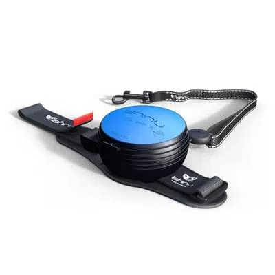 Lishinu Akıllı Kontrollü Bilekten Gezdirme Tasması Mavi L 13-40kg