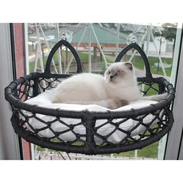 Lüxperi Cam Güzeli Cama Yapışan Kedi Yatağı