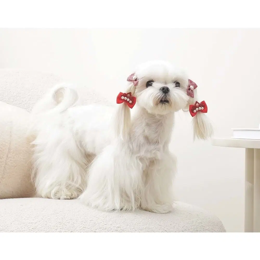 M-PETS GLAM TOKA AKSESUAR TAÇLI KIRMIZI 60900599