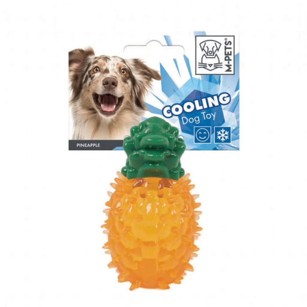 M-PETS OYUN. COOLING ANANAS DONDURULABİLİR 10667199