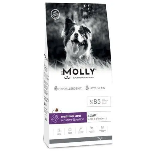 Molly Kuzulu Yabanmersinli Orta ve Büyük Irk Yetişkin Köpek Maması 2kg