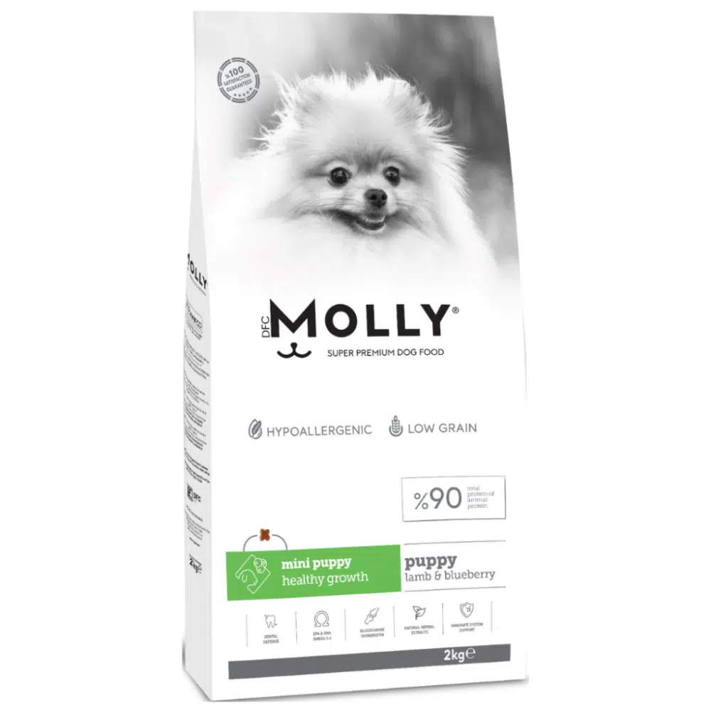Molly Mini Puppy Kuzu Etli Yaban Mersinli Küçük Irk Yavru Köpek Maması 2 Kg