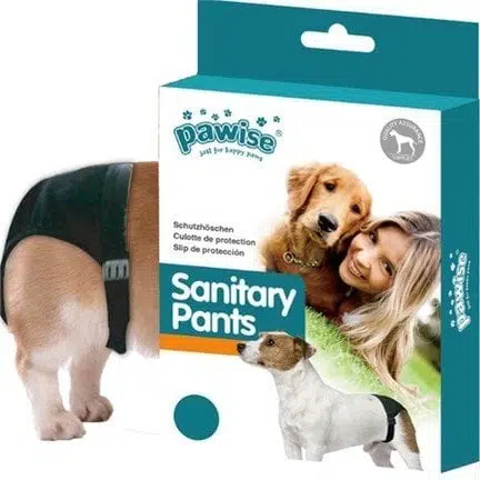 Pawise Regl Külodu M No:2