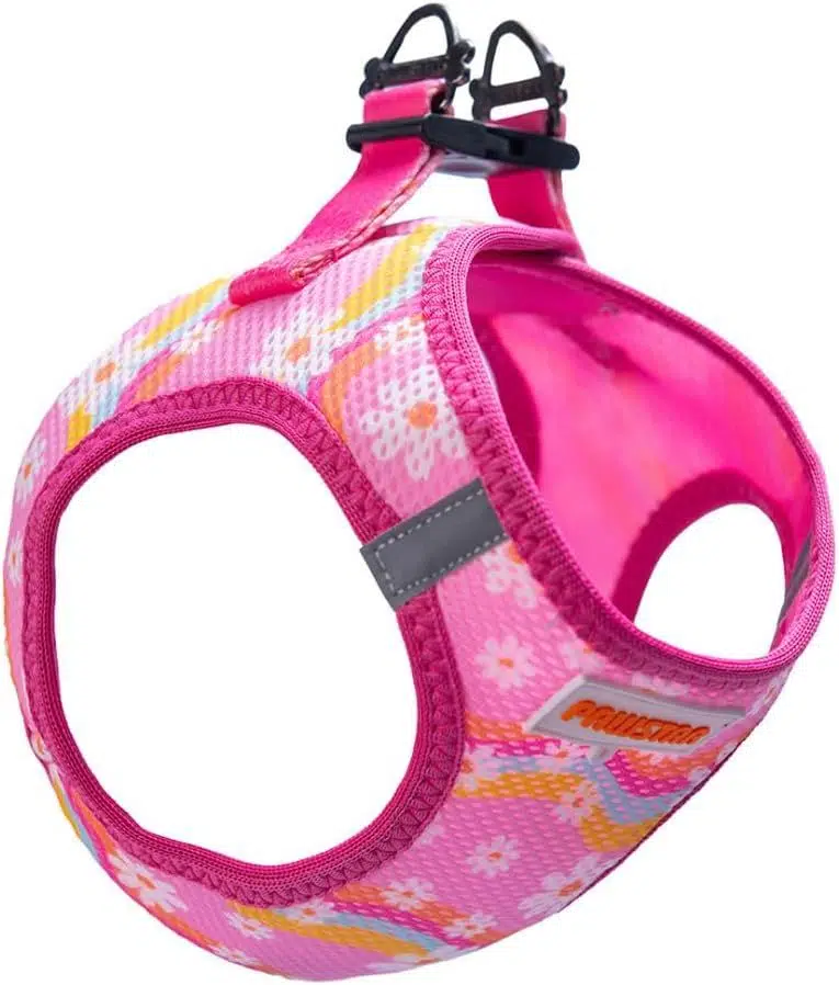 Pawstar Air Mesh Göğüs Tasması S Daisy