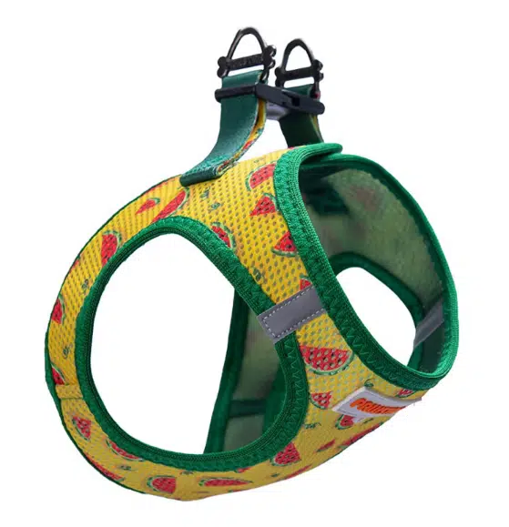 Pawstar Air Mesh Göğüs Tasması S Watermelon