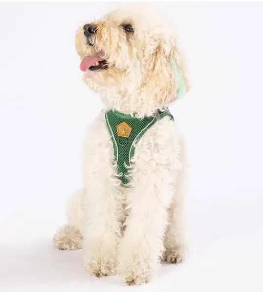 Pawstar Air Mesh Göğüs Tasması XL Yeşil