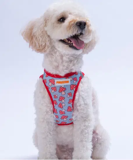 Pawstar Air Mesh Göğüs Tasması XS Mushroom