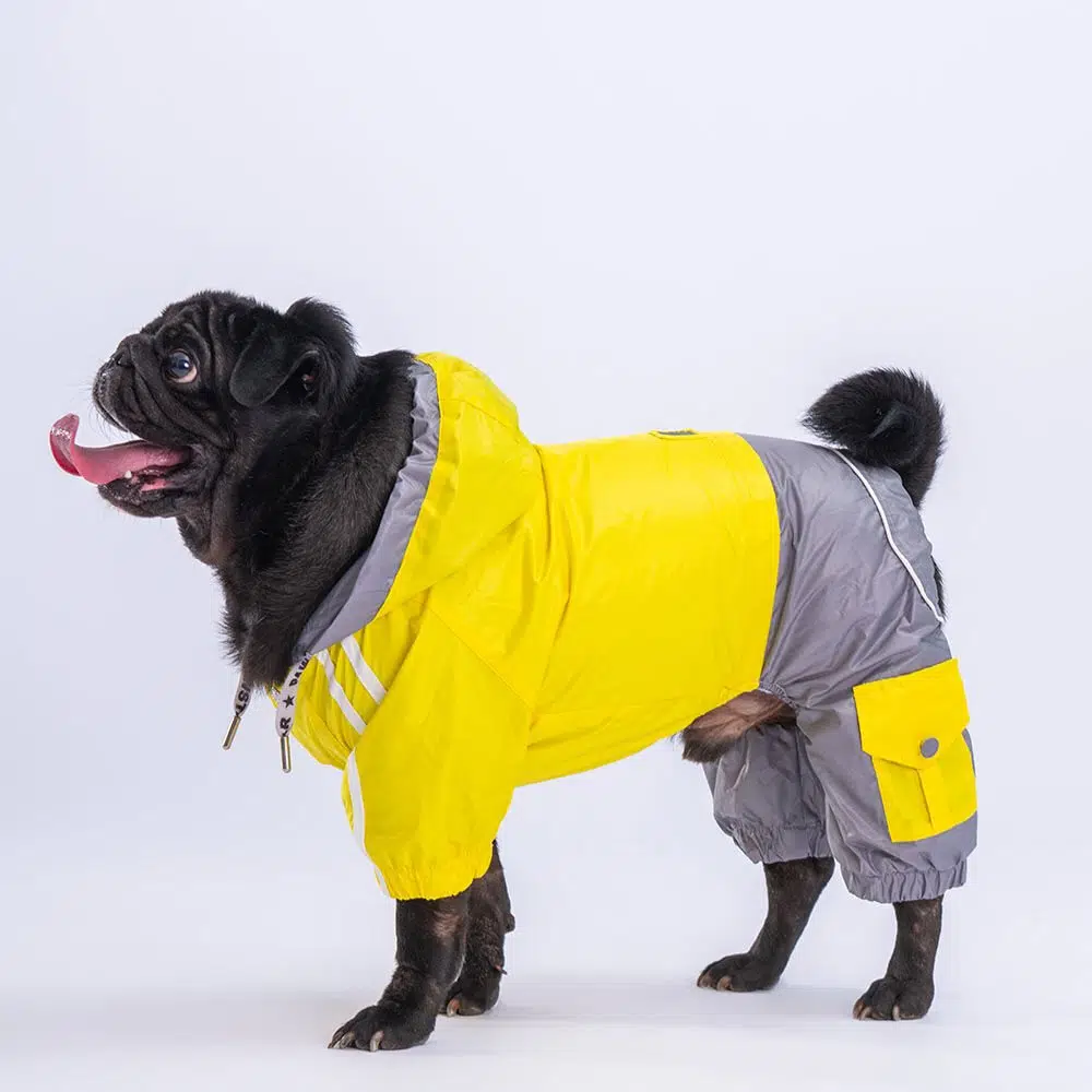 Pawstar BiColor Sarı Tulum Köpek Yağmurluğu 2XL 23517