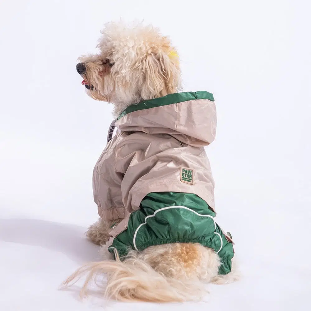 Pawstar BiColor Tulum Köpek Yağmurluğu XL 23519